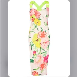 Ted Baker London Dress